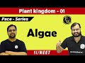 Plant Kingdom 01 -  Algae | Class 11 | CBSE | NCERT | NEET | PACE SERIES