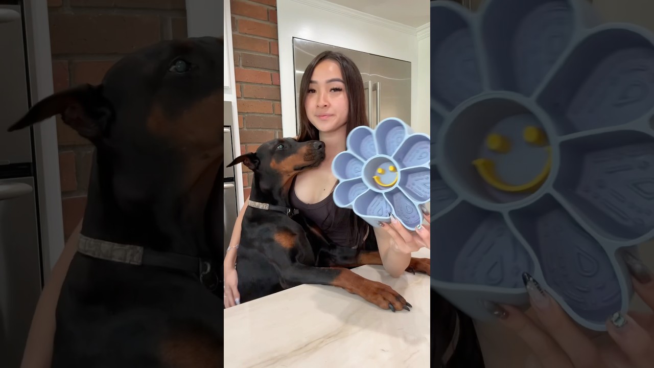 Let’s feed my needy toddler✨ 