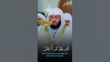 أفمن يخلق كمن لا يخلق أفلا تذكرون ||الشيخ وديع اليمني تلاوة بديعة تحلق بروحك 🤍 #وديع_اليمني