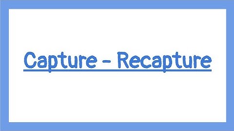 Capture - Recapture | GCSE Statistics