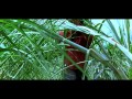 Mathil Mel PoonaI - Release Trailer ( 1 MIN )