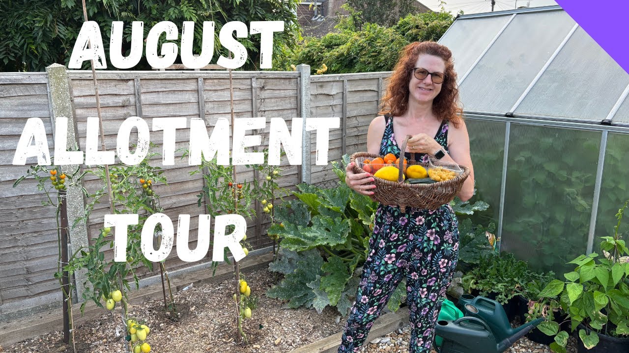 August Allotment Tour - Allotment Gardening For Beginners UK