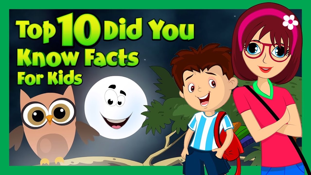 TO 10 DID YOU KNOW FACTS FOR KIDS | ENGLISH STORY COLLECTION ...