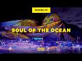 Soul of the ocean  ocean park hong kong