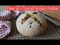 PANE AI 5 CEREALI SENZA GLUTINE FATTO IN CASA-Glutenfree Bread-Farine naturali-Cucina dei Senza