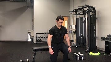 RFE Split Squat ISO