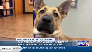 Nacogdoches ‘Pet at the Rec’ program sees success in effort to encourage shelter dog adoptions