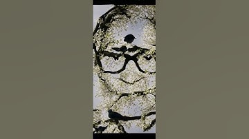 AI illusion Diffusion|| The hugging face