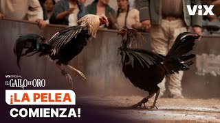 El gallo de Dionisio y el de Lorenzo se enfrentan | El Gallo de Oro | ViX