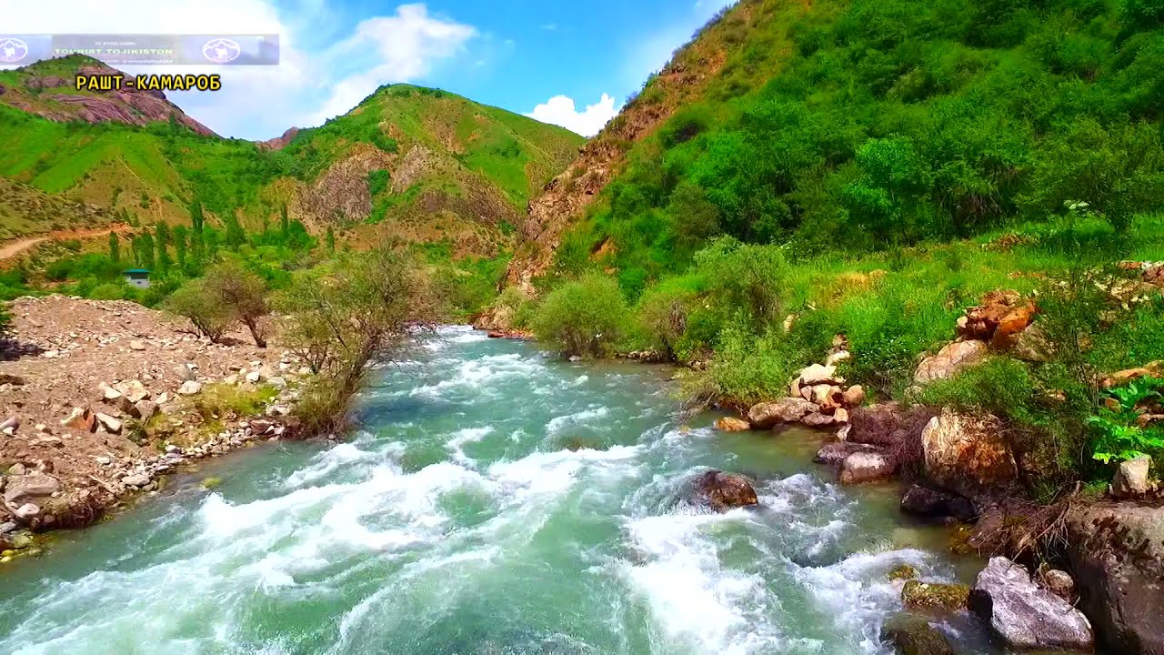 #РАШТ #КАМАРОБ #2020