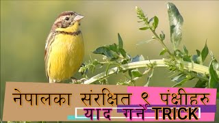 How to memorize 9 Protected Birds of Nepal?