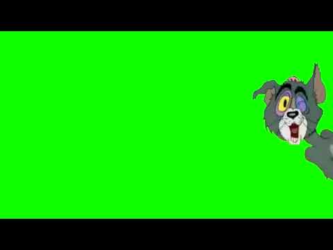 كروما خضراء توم 