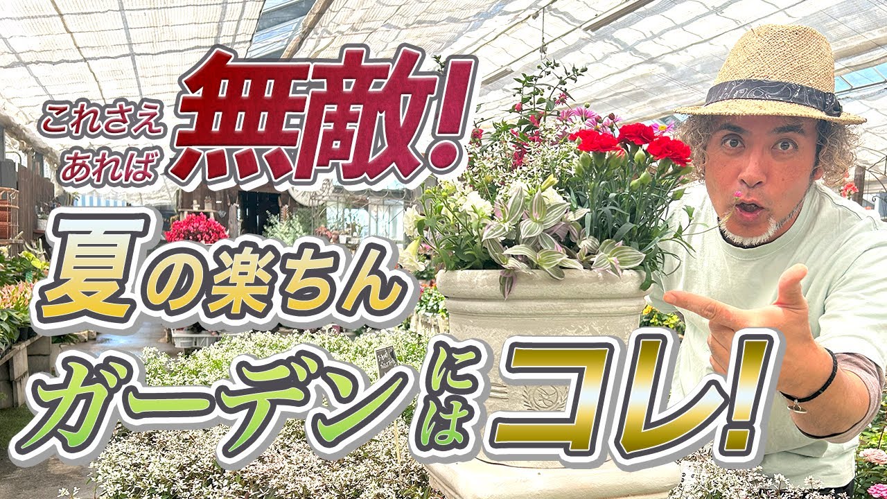 寄せ植え　花■みつばちと花畑 可愛いお花畑の寄せ植え(Mサイズ) | 福岡県朝倉市 | ふるさと