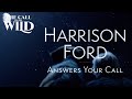 The Call of the Wild | Harrison Ford Answers Your Call | 20th Century Studios