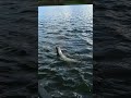 Wo ist denn der Fischkontakt?! #fishing