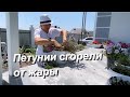 #ВЛОГ ЖАРА. Установили бассейн. Обрезка петуний в июле/Жизнь на море