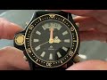 Stunning Aqualand C028 Titanium &quot;Enzo&quot;- Best watch ever, period!