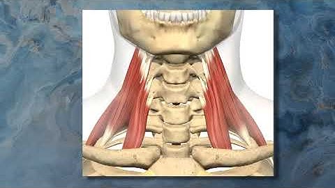 Assessing & Treating Nerve Compression & Thoracic Outlet Syndromes