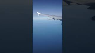 IMG 2472 2 flight 2018-2019