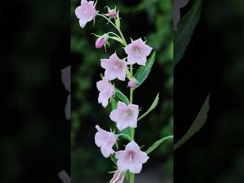 Скульптура из смеси
