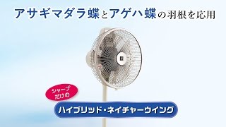 ハイポジション・リビングファンのご紹介