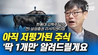 아직 저평가된 주식 '딱 1개만' 알려드릴게요 (김학주 교수)