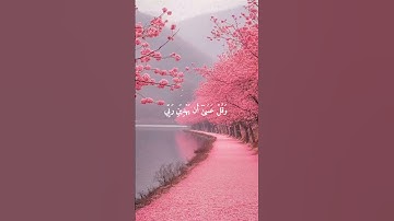 سورة الكهف | وَٱذۡكُر رَّبَّكَ إِذَا نَسِيتَ | محمد صديق المنشاوي | قران كريم