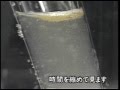 040709化学・水酸化ナトリウム水溶液で鶏肉を溶かす
