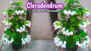 Bunga nona makan sirih dari plastik kresek/clerodendrum flower