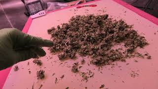Dry Sift In Seconds  Glove Tech