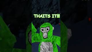FUNNY Monkeys Go Wild In The SNOW