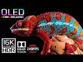 ULTRA Black OLED HDR Test | 16K HDR 240fps Dolby Vision (8K OLED & 4K TV Test)
