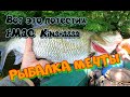 Трофейный жерех!!! Крупные голавли, даже УЖА поймал!!! Супер тест FMAG Kinshassa