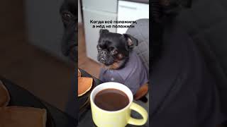 «Эко-продукты с Алтая»
