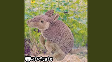 Song that plays when you encounter an armadillo