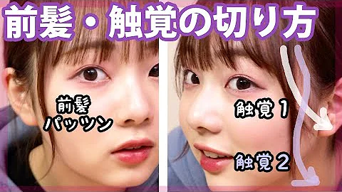 触覚 小顔効果抜群の触覚の作り方 切り方 Mp3