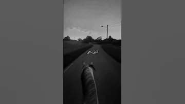 غلطانة جيتيني ندمانة قلتلي ريحني 