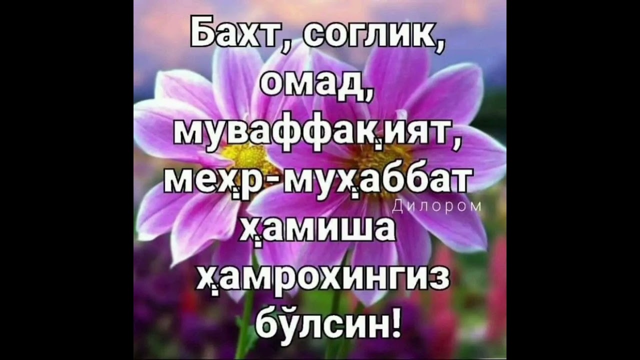 99899 051 43 05  Tabriklar loyixasi! #tugʻilgan kun # tabrik #rek