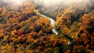 Great Smoky Mountains National Park Autumn 2014