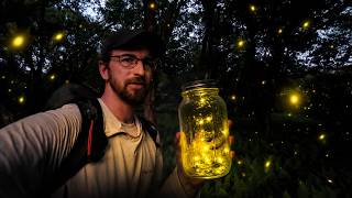 Hunting Rare Species of Fireflies in the Appalachians - Camping, Fishing & Trail Camera Check