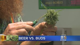 Recreational Pot Sales May Be Putting Damper On State's Beer Consumption