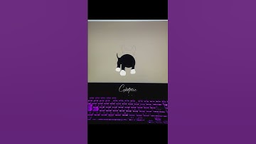 How to make Dog | Dog by Python turtle Graphics