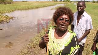 Floods displace hundreds on Lake Kwania shores in Lango region