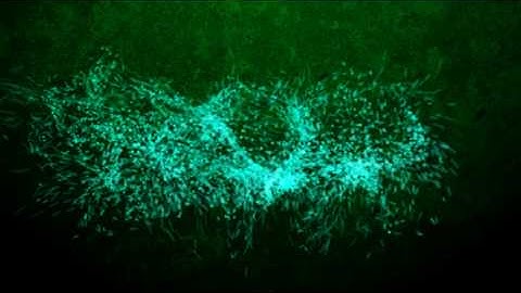 Trapcode Particle After Effects CS3