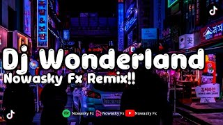 DJ TIKTOK TERBARU 2023 | DJ , WONDERLAND | REMIX SLOW VIRAL TIKTOK 2023