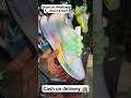 Nike Zoomx Pegasus 35 #shorts