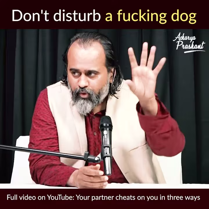 Don't disturb a fucking dog #shorts