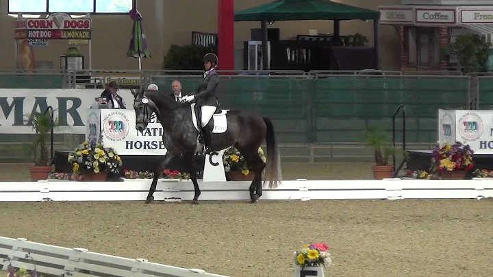 Kristina Harrison   276   Finley   USEF4   O