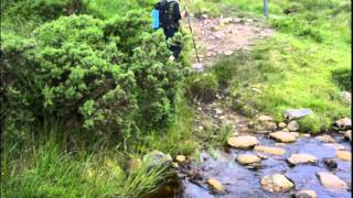 Dingle Way, Day 1, July 2015