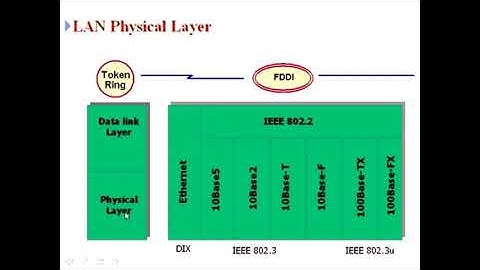 Wan là viết tắt của từ gì năm 2024